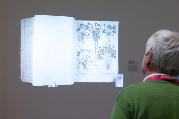 FLOWER POWER. Eine Kulturgeschichte der Pflanzen (Landesgalerie Niederösterreich, 24.05.2025-15.02.2026) Foto: eSeL.at - Lorenz Seidler