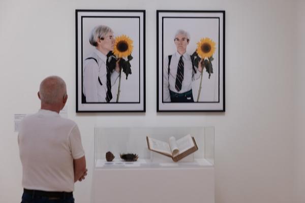 FLOWER POWER. Eine Kulturgeschichte der Pflanzen (Landesgalerie Niederösterreich, 24.05.2025-15.02.2026) Foto: eSeL.at - Lorenz Seidler