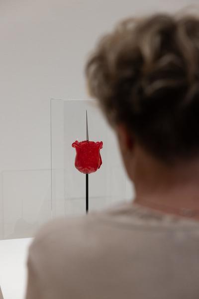 FLOWER POWER. Eine Kulturgeschichte der Pflanzen (Landesgalerie Niederösterreich, 24.05.2025-15.02.2026) Foto: eSeL.at - Lorenz Seidler