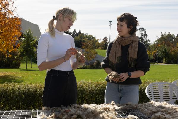 KOERNOE: Folke Köbberling: Workshop Wolldach (Schlosspark Grafenegg, 17.10. - 19.10.2025) Foto: eSeL.at - Lorenz Seidler