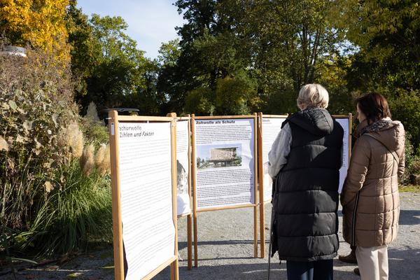 KOERNOE: Folke Köbberling: Workshop Wolldach (Schlosspark Grafenegg, 17.10. - 19.10.2025) Foto: eSeL.at - Lorenz Seidler