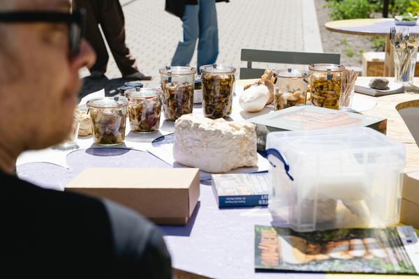 Creatives for Vienna – Making Spaces X Klima Biennale Wien: Die Anhaltestelle (Straßenbahnlinie O, 25.04.2026) Foto: Wirtschaftsagentur Wien / eSeL.at - Robert Puteanu