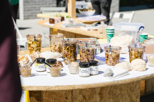 Creatives for Vienna – Making Spaces X Klima Biennale Wien: Die Anhaltestelle (Straßenbahnlinie O, 25.04.2026) Foto: Wirtschaftsagentur Wien / eSeL.at - Robert Puteanu