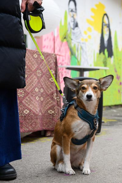 From Fear to Love - Fearless Mural (Brunnenpassage, 06.12.2025) Foto: eSeL.at - Joanna Pianka