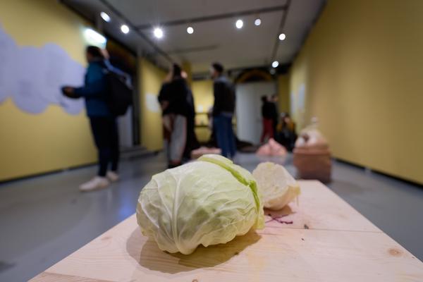 Fuzzy Earth - The Belly Knows Before the Brain (KunstHausWien, 15.10.2025 - 25.01.2026) Foto: eSeL.at - Joanna Pianka