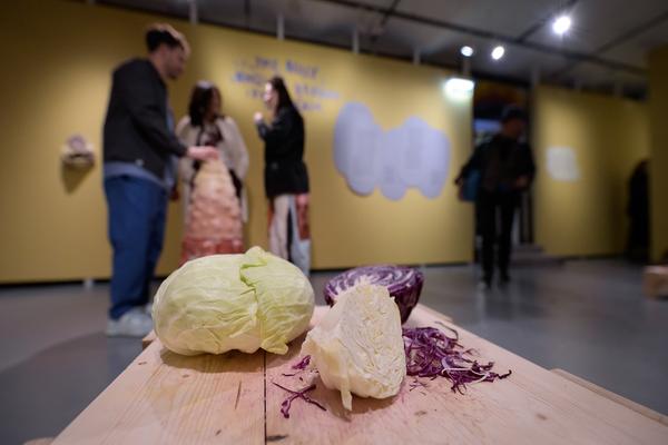 Fuzzy Earth - The Belly Knows Before the Brain (KunstHausWien, 15.10.2025 - 25.01.2026) Foto: eSeL.at - Joanna Pianka