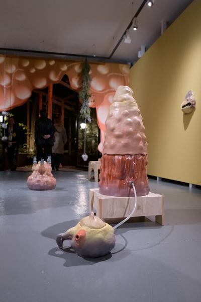 Fuzzy Earth - The Belly Knows Before the Brain (KunstHausWien, 15.10.2025 - 25.01.2026) Foto: eSeL.at - Joanna Pianka