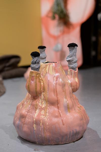 Fuzzy Earth - The Belly Knows Before the Brain (KunstHausWien, 15.10.2025 - 25.01.2026) Foto: eSeL.at - Joanna Pianka