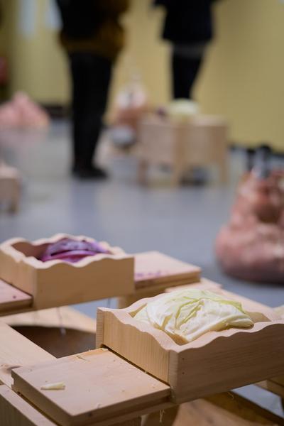 Fuzzy Earth - The Belly Knows Before the Brain (KunstHausWien, 15.10.2025 - 25.01.2026) Foto: eSeL.at - Joanna Pianka