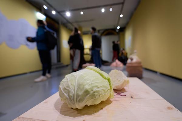 Fuzzy Earth - The Belly Knows Before the Brain (KunstHausWien, 15.10.2025 - 25.01.2026) Foto: eSeL.at - Joanna Pianka