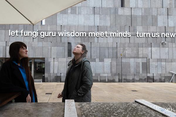 mumok: mixed up with others before we even begin (26.11.2022 - 10.4.2023) Foto: eSeL.at - Lorenz Seidler Foto: eSeL.at - Lorenz Seidler