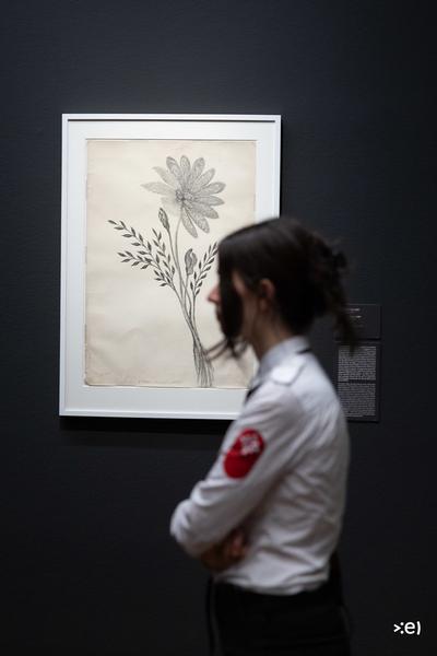 Verborgene Moderne. Faszination des Okkulten um 1900 (Leopold Museum, 4.9.2025 - 18.1.2026) Foto: eSeL.at - Lorenz Seidler