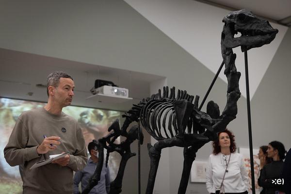 mumok: Das Tier in Dir. Kreaturen in (und außerhalb) der mumok Sammlung" (21.9.2022 - 26.2.2023) Foto: eSeL.at - Lorenz Seidler Foto: eSeL.at - Lorenz Seidler