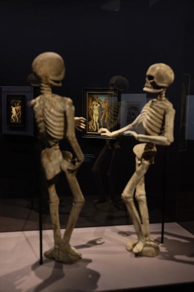 Gothic Modern. Munch, Beckmann, Kollwitz (Albertina, 19.9.2025 - 11.1.2026) Foto: eSeL.at - Lorenz Seidler