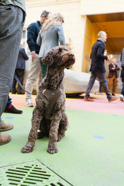 Gottfried Bechtold. Betonporsche (Heidi Horten Collection, 27.04.2026) Foto: eSeL.at - Robert Puteanu
