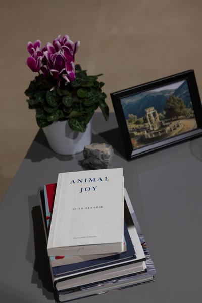 H13 2025: Stina Fors &quot;Answer me, Pythia&quot; (Kunstraum Niederösterreich, 21.11.2025) Foto: eSeL.at - Lorenz Seidler