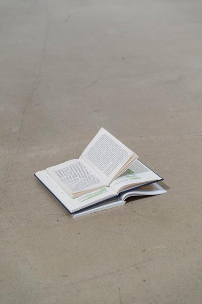 Stina Fors  &quot;Answer Me, Pythia&quot; (Kunstraum Niederösterreich, 02.12.2025) Foto: eSeL.at - Robert Puteanu