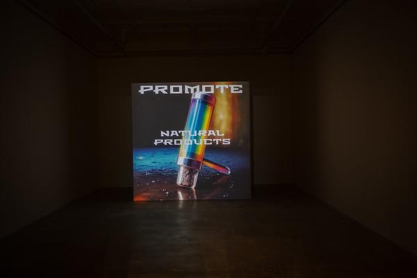 Hanakam &amp; Schuller "Cosmic Commissioner" (Galerie Krinzinger, 7.11. - 19.11.2025) Foto: eSeL.at - Lorenz Seidler