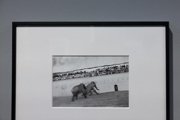 Henri Cartier-Bresson &quot;Watch! Watch! Watch!&quot; (Fotoarsenal Wien, 28.6. - 21.9.2025) Foto: eSeL.at - Lorenz Seidler