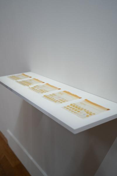 In the Fold of the Sack (Exhibit, Akademie der bildenden Künste, 12.03.2026) Foto: eSeL.at - Sarah Tasha