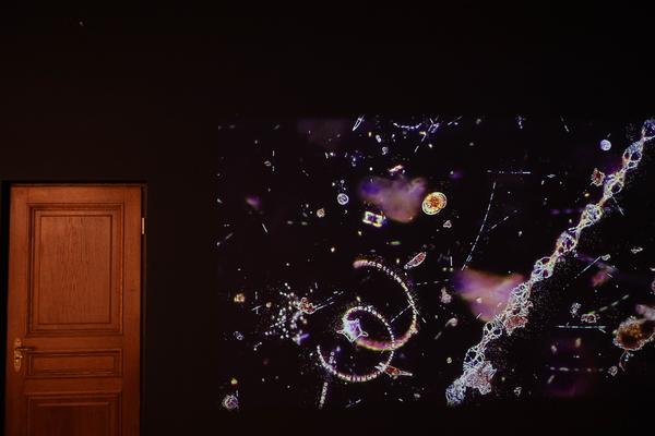 Indah Arsyad "The Ultimate Breath" (Weltmuseum Wien, 26.11.2025 - 25.5.2026) Foto: eSeL.at - Lorenz Seidler