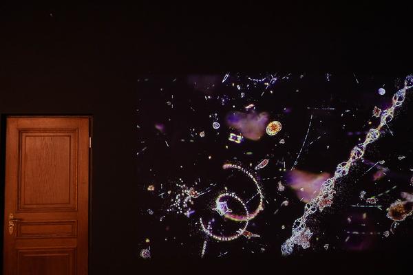 Indah Arsyad "The Ultimate Breath" (Weltmuseum Wien, 26.11.2025 - 25.5.2026) Foto: eSeL.at - Lorenz Seidler