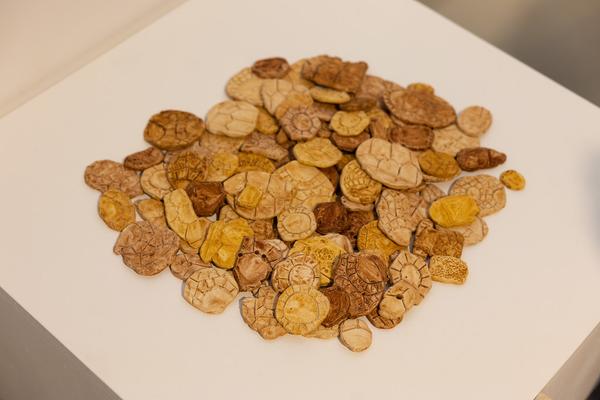 The institute of Queer Ecology "I Wish We Had More Time" (Kunst Haus Wien Garage, 10.04.2026 – 09.08.2026) Foto: eSeL.at - Lorenz Seidler