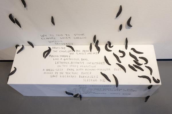 The institute of Queer Ecology "I Wish We Had More Time" (Kunst Haus Wien Garage, 10.04.2026 – 09.08.2026) Foto: eSeL.at - Lorenz Seidler