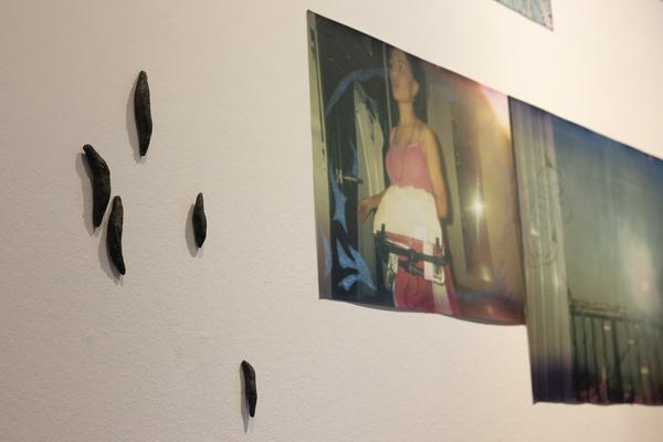 The institute of Queer Ecology "I Wish We Had More Time" (Kunst Haus Wien Garage, 10.04.2026 – 09.08.2026) Foto: eSeL.at - Lorenz Seidler