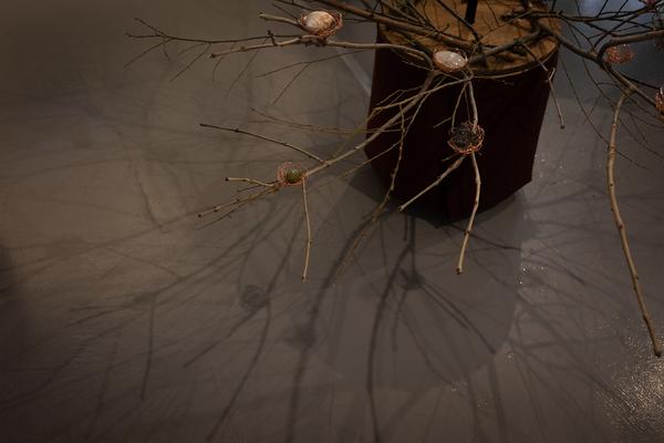 The institute of Queer Ecology "I Wish We Had More Time" (Kunst Haus Wien Garage, 10.04.2026 – 09.08.2026) Foto: eSeL.at - Lorenz Seidler