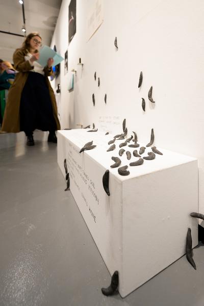 The institute of Queer Ecology "I Wish We Had More Time" (Kunst Haus Wien Garage, 10.04.2026 – 09.08.2026) Foto: eSeL.at - Joanna Pianka