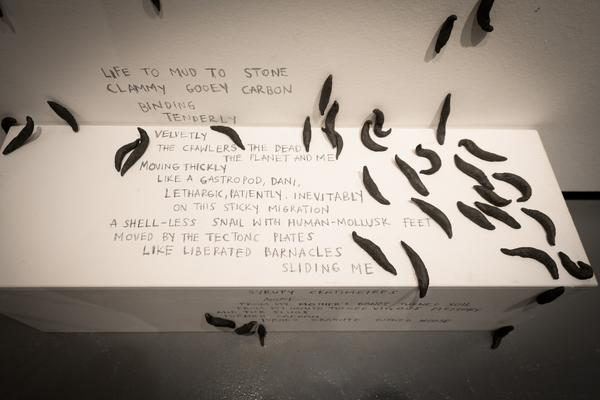 The institute of Queer Ecology "I Wish We Had More Time" (Kunst Haus Wien Garage, 10.04.2026 – 09.08.2026) Foto: eSeL.at - Joanna Pianka