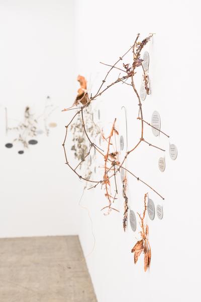 Iris Andraschek: Am Acker (Galerie3 Wien, 05.09. - 10.10.2025) Foto: eSeL.at - Joanna Pianka