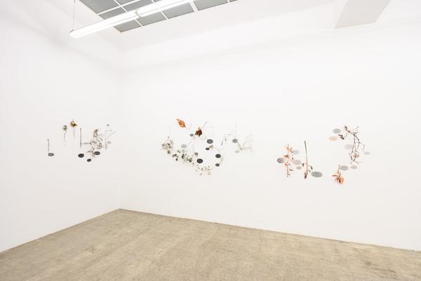 Iris Andraschek: Am Acker (Galerie3 Wien, 05.09. - 10.10.2025) Foto: eSeL.at - Joanna Pianka