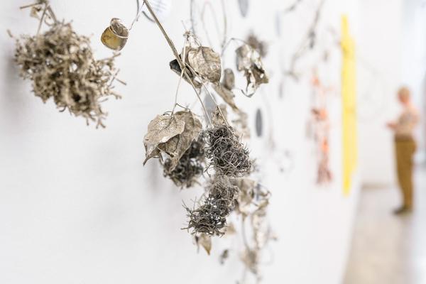 Iris Andraschek: Am Acker (Galerie3 Wien, 05.09. - 10.10.2025) Foto: eSeL.at - Joanna Pianka