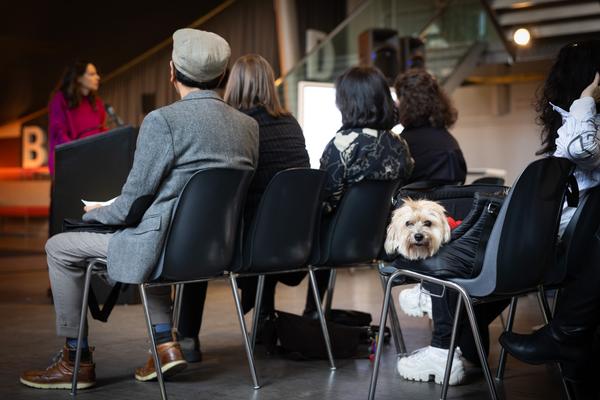 Jahrespressekonferenz 2026 (Kunsthalle Wien, 12.12.2025) Foto: eSeL.at - Lorenz Seidler