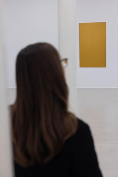 Joe Bradley (Kunsthalle Krems, 22.11.2025 – 06.04.2026) Foto: eSeL.at - Lorenz Seidler