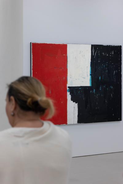 Joe Bradley (Kunsthalle Krems, 22.11.2025 – 06.04.2026) Foto: eSeL.at - Lorenz Seidler