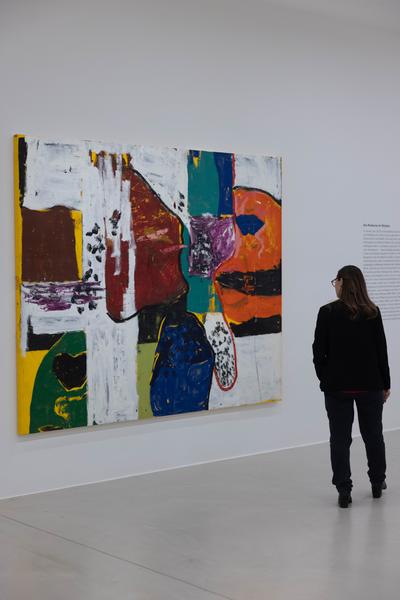 Joe Bradley (Kunsthalle Krems, 22.11.2025 – 06.04.2026) Foto: eSeL.at - Lorenz Seidler