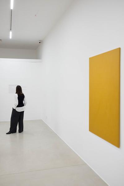 Joe Bradley (Kunsthalle Krems, 22.11.2025 – 06.04.2026) Foto: eSeL.at - Lorenz Seidler