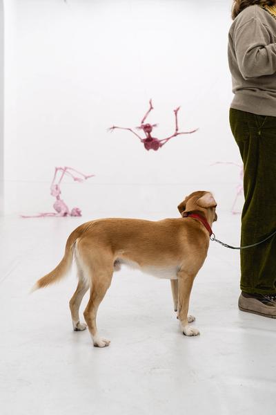 Kata Oelschlägel - Sewn Together (Nitsch Foundation, 13.11.2025) Foto: eSeL.at - Robert Puteanu