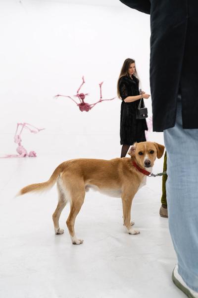 Kata Oelschlägel - Sewn Together (Nitsch Foundation, 13.11.2025) Foto: eSeL.at - Robert Puteanu