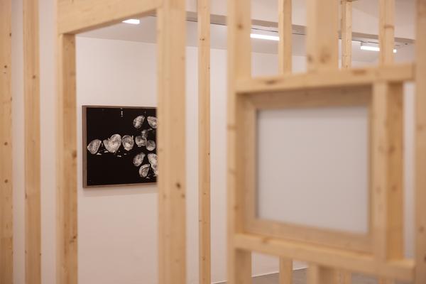 Katherine Hubbard "The Great Room" (12.6. – 30.8.2026) Foto: eSeL.at - Lorenz Seidler