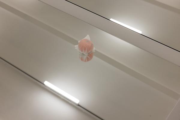Lap-See Lam "192 Wing Lok Street" (11.9. – 22.11.2026, Secession - Galerie) Foto: eSeL.at - Lorenz Seidler