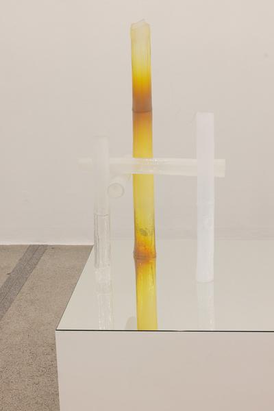 Lap-See Lam "192 Wing Lok Street" (11.9. – 22.11.2026, Secession - Galerie) Foto: eSeL.at - Lorenz Seidler