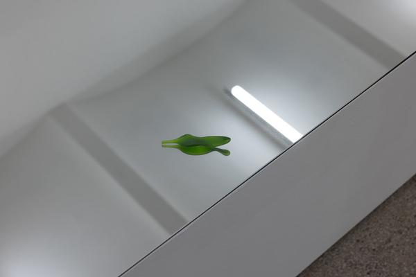 Lap-See Lam "192 Wing Lok Street" (11.9. – 22.11.2026, Secession - Galerie) Foto: eSeL.at - Lorenz Seidler
