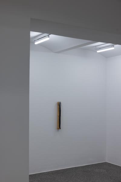 Lap-See Lam "192 Wing Lok Street" (11.9. – 22.11.2026, Secession - Galerie) Foto: eSeL.at - Lorenz Seidler