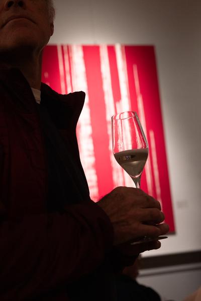 VIENNA ART WEEK 2025: Keynote Sepp Schellhorn &quot;Learning Systems&quot; (Dorotheum, 10.11.2025) Foto: eSeL.at - Lorenz Seidler