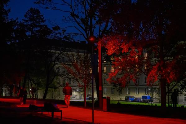 Creatives for Vienna – Making Spaces X Klima Biennale Wien: Licht für Vielfalt - Lichtfang: Begegnungen mit der Nacht (Jutta-Steier-Park, 17.04.2026) Foto: Wirtschaftsagentur Wien / eSeL.at - Joanna Pianka