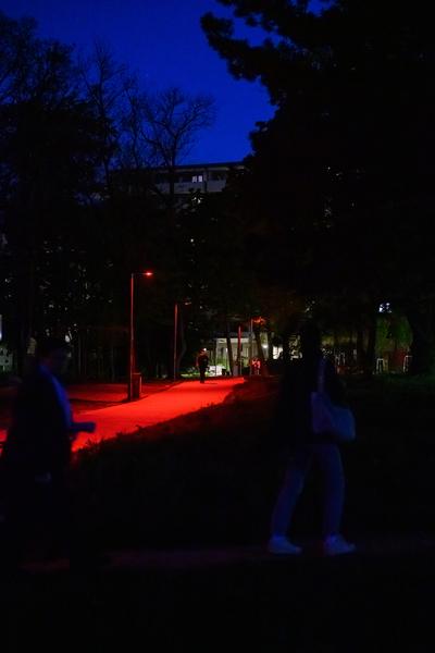 Creatives for Vienna – Making Spaces X Klima Biennale Wien: Licht für Vielfalt - Lichtfang: Begegnungen mit der Nacht (Jutta-Steier-Park, 17.04.2026) Foto: Wirtschaftsagentur Wien / eSeL.at - Joanna Pianka